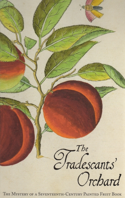 Tradescants' Orchard by Juniper and Grootenboer (2013)
